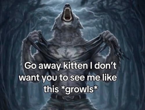 A werewolf meme bearing the words "Go away kitten, I don't want you to see me like this," followed by a growl