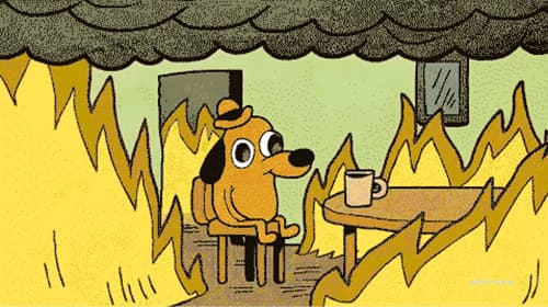 The "This is fine" dog, seated calmly in a burning room, a fair portrait of the delulu state of mind